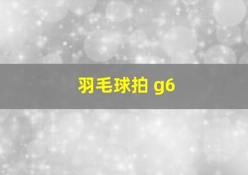 羽毛球拍 g6